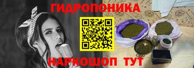 спиды Можга