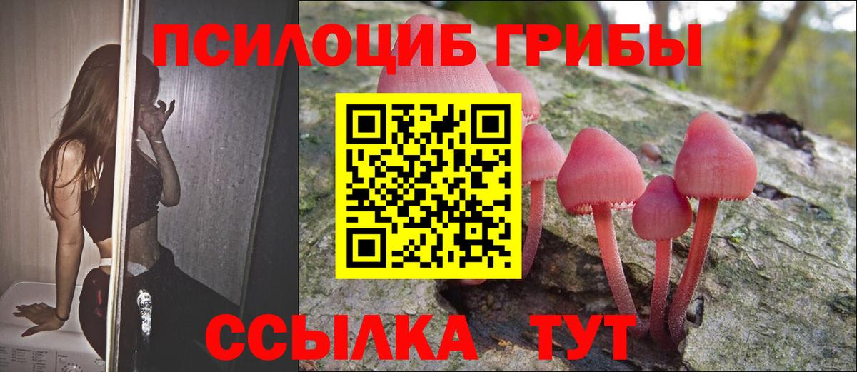 Псилоцибиновые грибы Magic Shrooms  Вход с VPN  Верхняя Салда  Псилоцибиновые грибы прущие грибы 