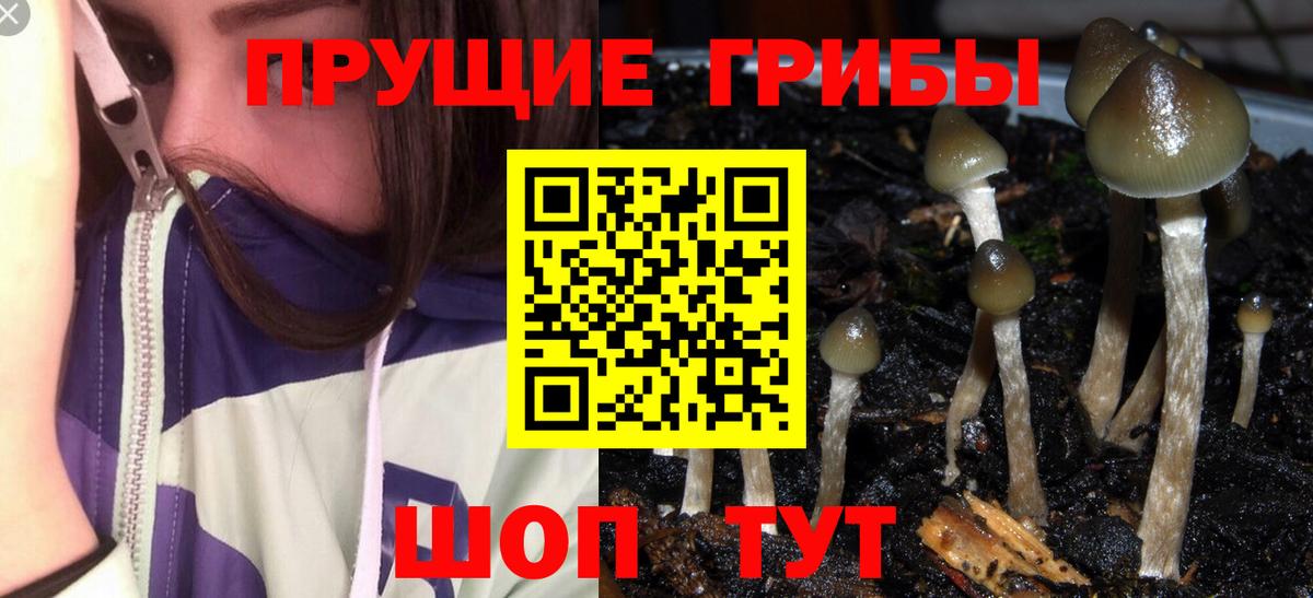 Галлюциногенные грибы Cubensis Верхняя Салда